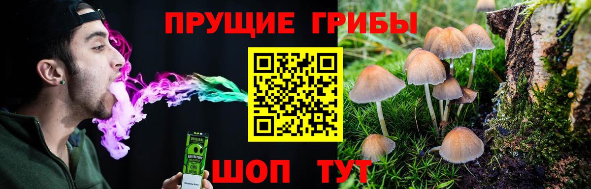 Саратов  Галлюциногенные грибы мухоморы  Вход с VPN 
