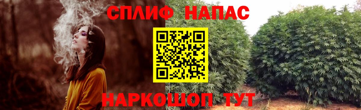 Бошки Шишки THC 21% Саратов